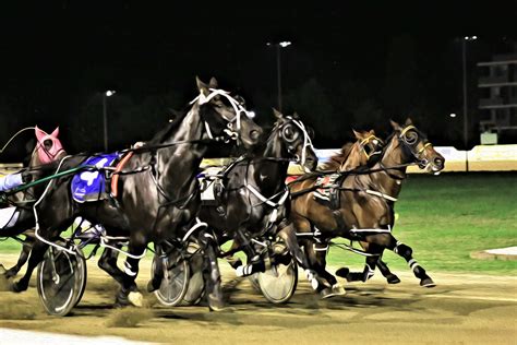 harness racing today.